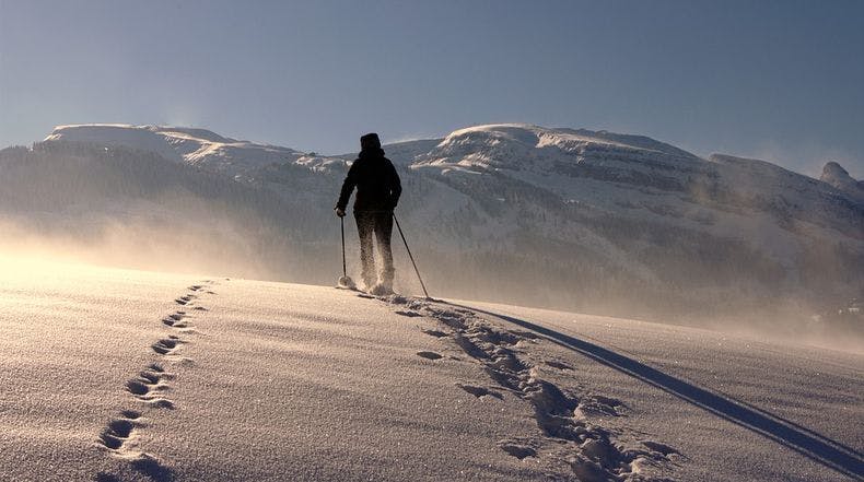在 Pyhä 和 Luosto 去尝试雪鞋远足健行